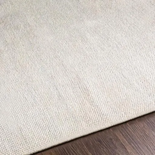 Acacia Indoor/Outdoor Ivory Rug