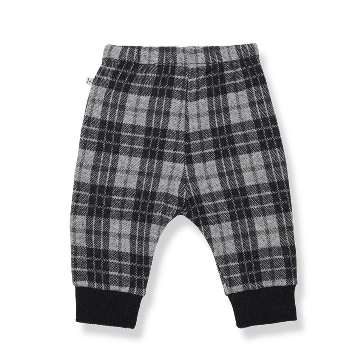 Albert Pant in Anthracite