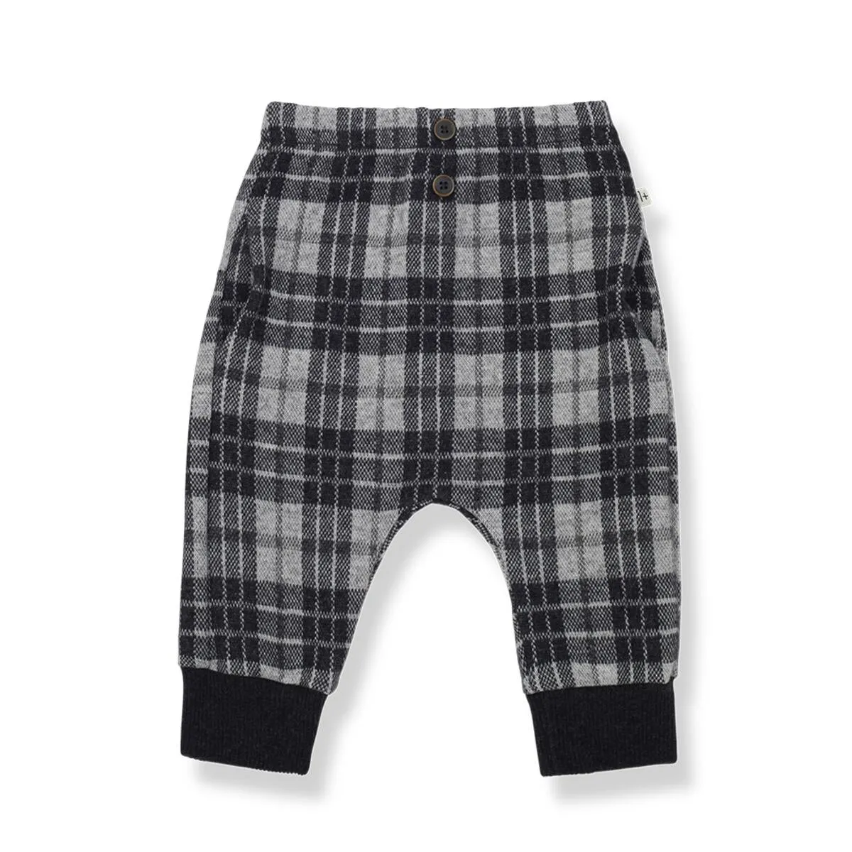 Albert Pant in Anthracite