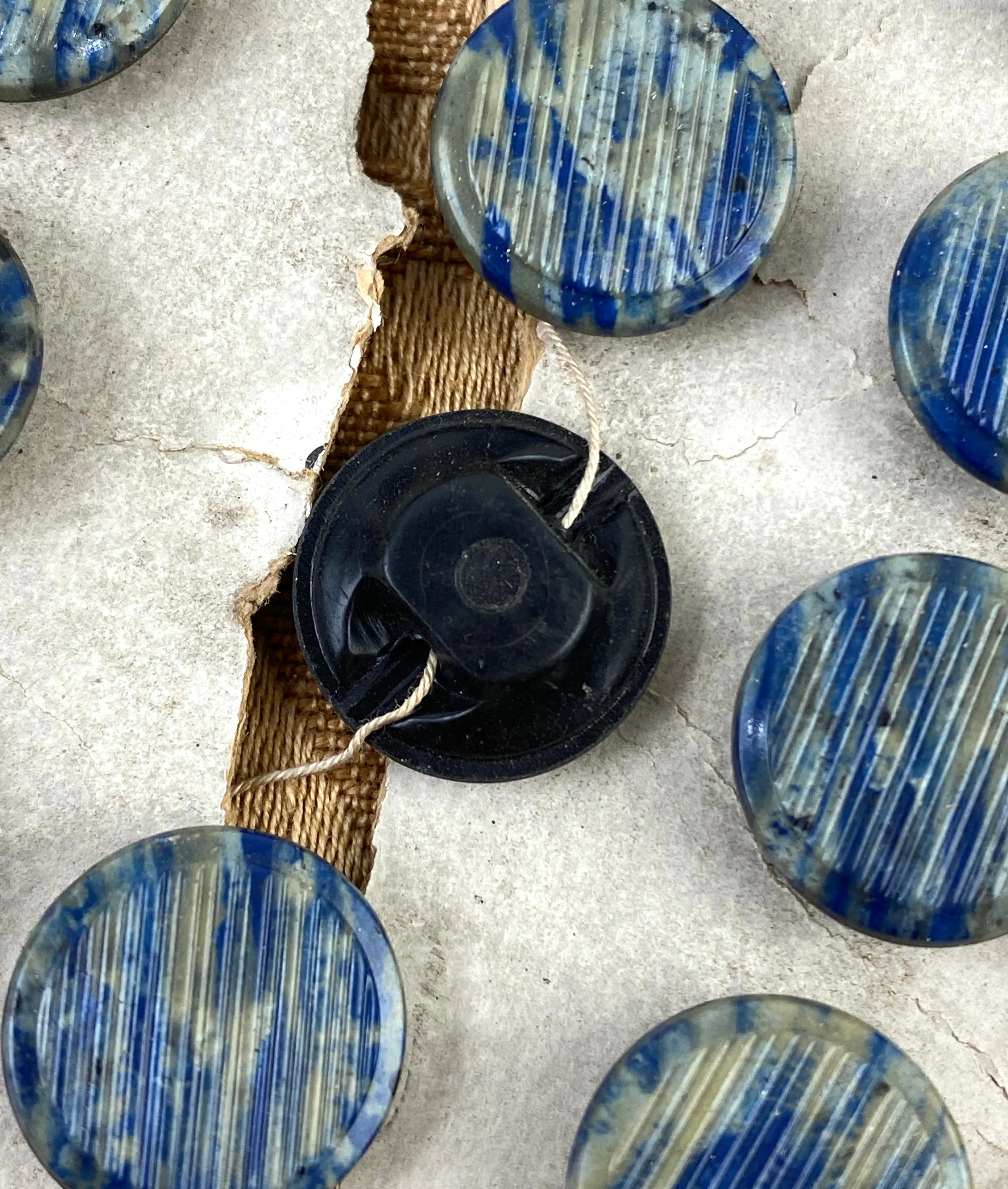 Antique Victorian Blue/Green Vegetable Ivory Shank Buttons x24