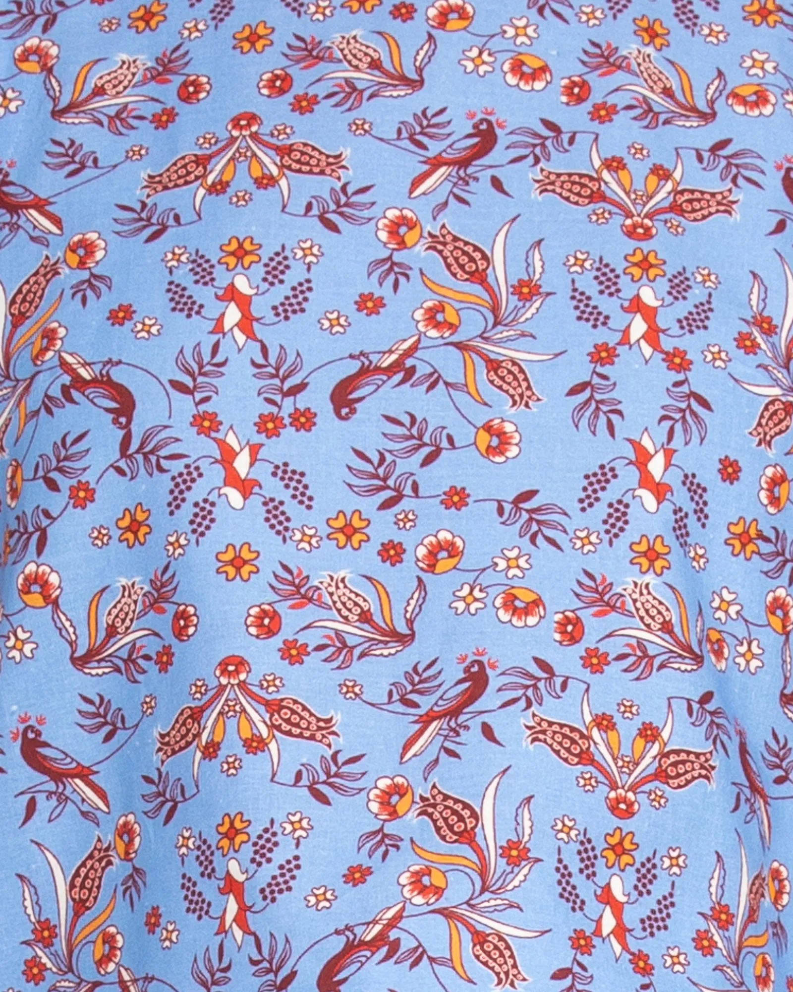 Rose Top Bird of Paradise